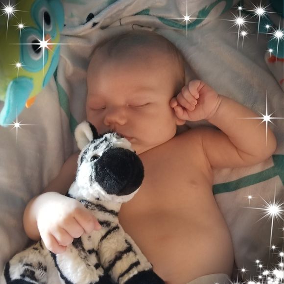 Meet your Posher, Kendall - Picture 1 of 1